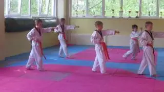 Аттестация на зеленый пояс.(24.05.2017)