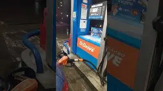 Радую пыжика G drive