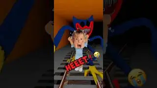 #Roblox