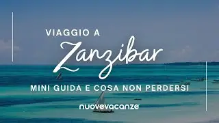Zanzibar Excursions: Everything You Need to Know