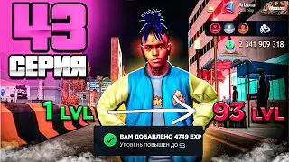 Как ДЁШЕВО прокачать свой АККАУНТ🚀-  ПУТЬ МИЛЛИАРДЕРА на Аризона РП #43 ( аризона рп самп )