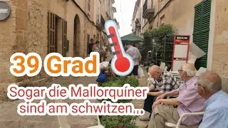 39 Grad, sogar die Mallorquíner schwitzen