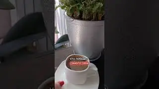 Как стать победителем 