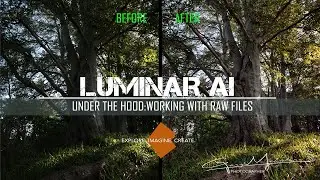 Luminar AI working with RAW files