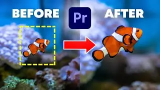How To Zoom In And Out in Premiere Pro