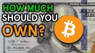 How Much Bitcoin Should You Own?