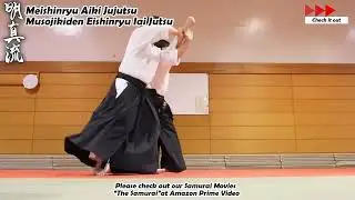 Meishinryu Aikido techniques 明真流　合気道の稽古 #aikido #合気道 #天照会 2025 0307 02
