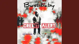 Credit Alert