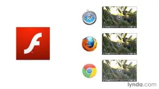 HTML5 Video and Audio in Depth Understanding HTML5 video and audio