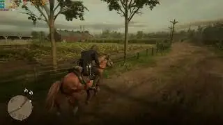 Red Dead Redemption 2 1440P Ryzen 3700x Rx 6900xt