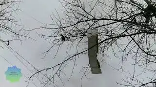 Взрыв в Химках на Зелёной улице