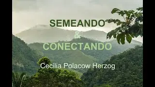 Semeando & Conectando com Cecilia Polacow Herzog