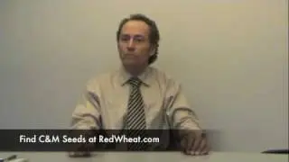 Wheat School: Early Season Nitrogen Management of Winter Wheat in Ontario