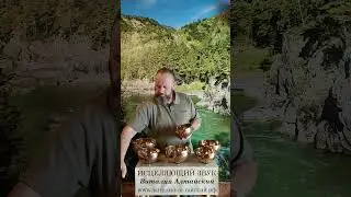 Исцеляющий звук для Костей, Суставов и Мышц.