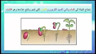 مواد عضوية وغير عضوية