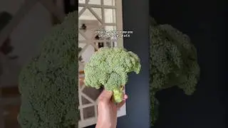 What I did with my broccoli harvest! 