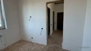 16 сентября 2024 г.