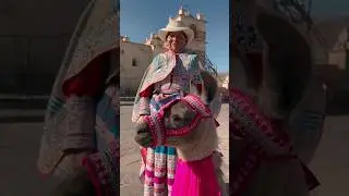 An Alpaca and Woman in Peru's Vibrant Dress: A Cultural Experience!