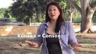 LH#3 How to Speak Hawaiian - Consonants