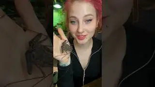 #питомцы