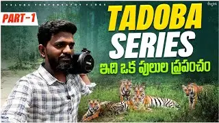 ఇది పులుల ప్రపంచం | tadoba series in telugu | telugu photography vlogs | view finder snap |#wildlife