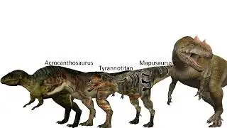 Allosauridae & Carcharodontosauridae Size Comparison (ft. @MarioLanzas.)