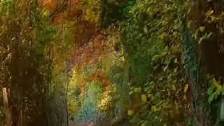 Adam Hurst - Autumn waltz (Jesienny walc)