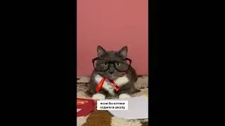 Озвучка робота Котинет короткие видео