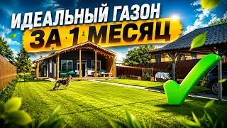 The Lazy Way to Plant Sports Turf: Perfect Results Without the Hassle | Planting Instructions