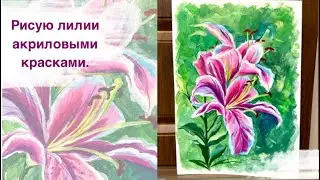 Рисую лилии акриловыми красками на бумаге.