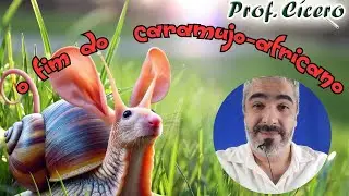 Como se livrar do Caramujo Africano