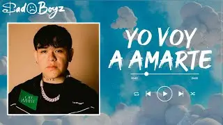 JUNIOR H - YO VOY A AMARTE (letra)