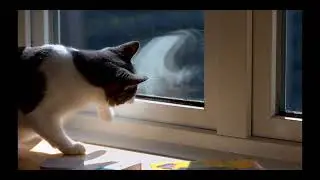 Testing Nikon Z6III 6K Video