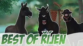 BEST OF říjen 🙈