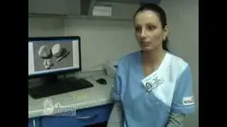 Мочекаменная болезнь у собак и кошек
