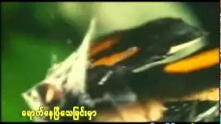 ဒီအခ်ိန္မွာ (စံပီး)