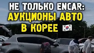 Авто аукционы в Корее что нужно знать? #автоподбор