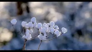 January (Original Piano Composition)