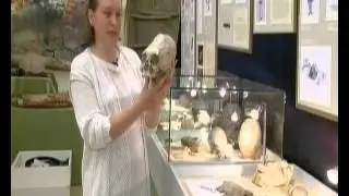 74 TM Zaveszanie titanov Sekretnye materialy 29 11 2012