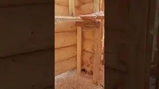 Пример ХОРОШЕГО качества рубки и сборки бани из кедра! 