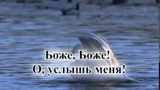 Гимны надежды/гимн№180/Не пройди меня, Спаситель/караоке