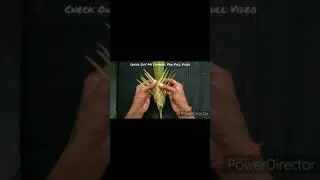 Making A Craft From Palm Leaves #Shorts #crafts
