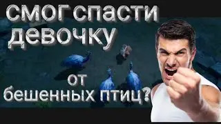 СМОГ СПАСТИ ДЕВОЧКУ ОТ БЕШЕННЫХ ПТИЦ? Lost in blue