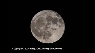 A plane flies past a fullmoon