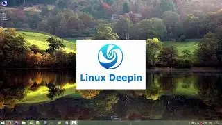 Установка Linux Deepin на одном диске с Windows