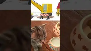 SUPER STORY OF KITTY