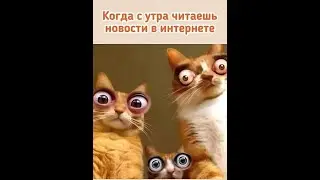 Юмора вам для настроения и позитива