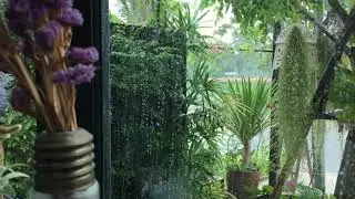 Relaxation Window Rain // The Rain Falls On The Music Relaxation Window