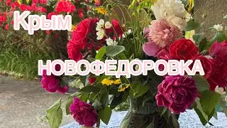 Новофедоровка 2025