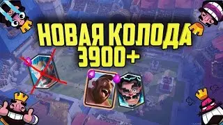 НОВАЯ КОЛОДА 3900+ | Clash Royale